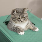 Maison de toilette pour chat pliable double porte battante et supérieure pelle fourni 47,5 x 35,5 x 36,7 cm vert-7