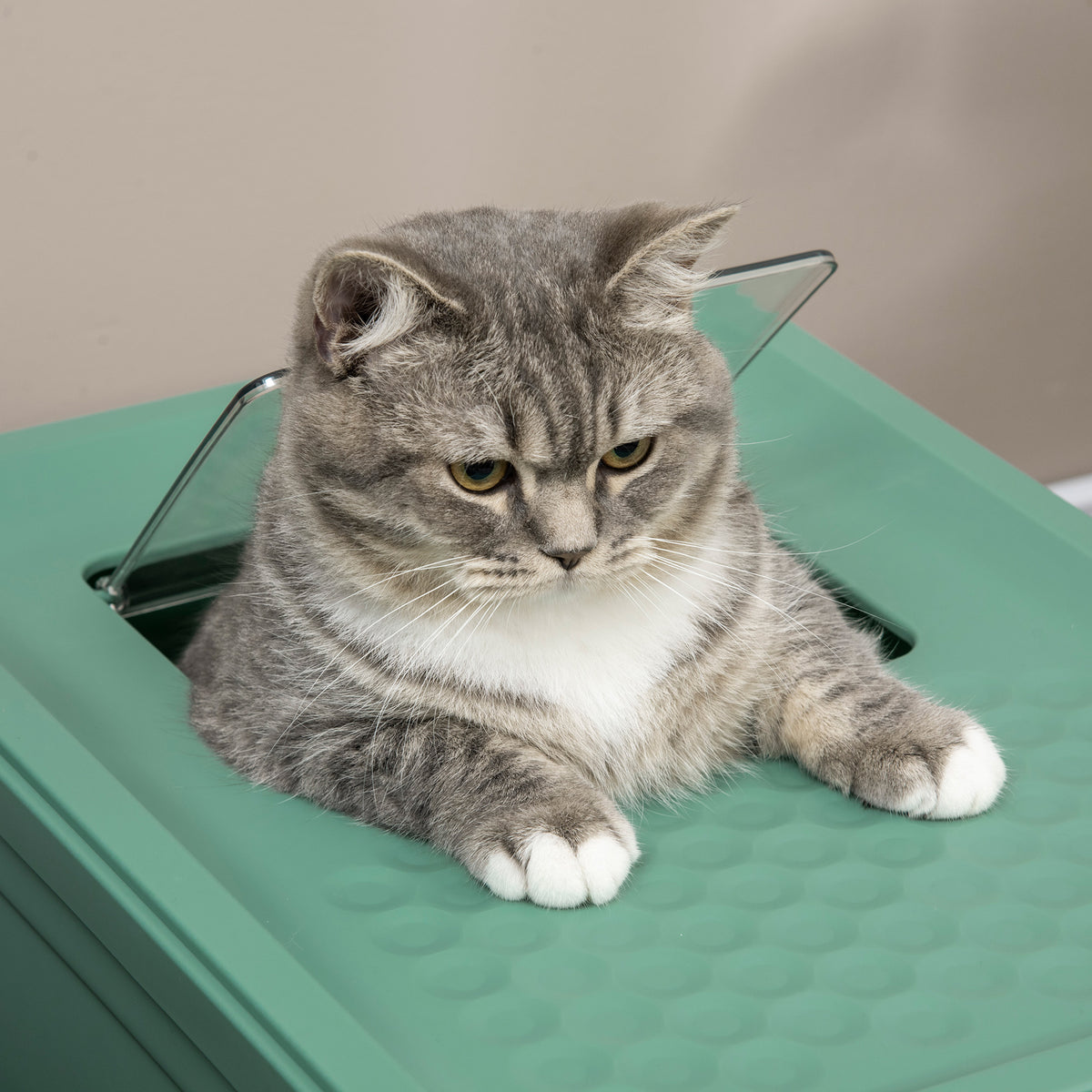 Maison de toilette pour chat pliable double porte battante et supérieure pelle fourni 47,5 x 35,5 x 36,7 cm vert-7