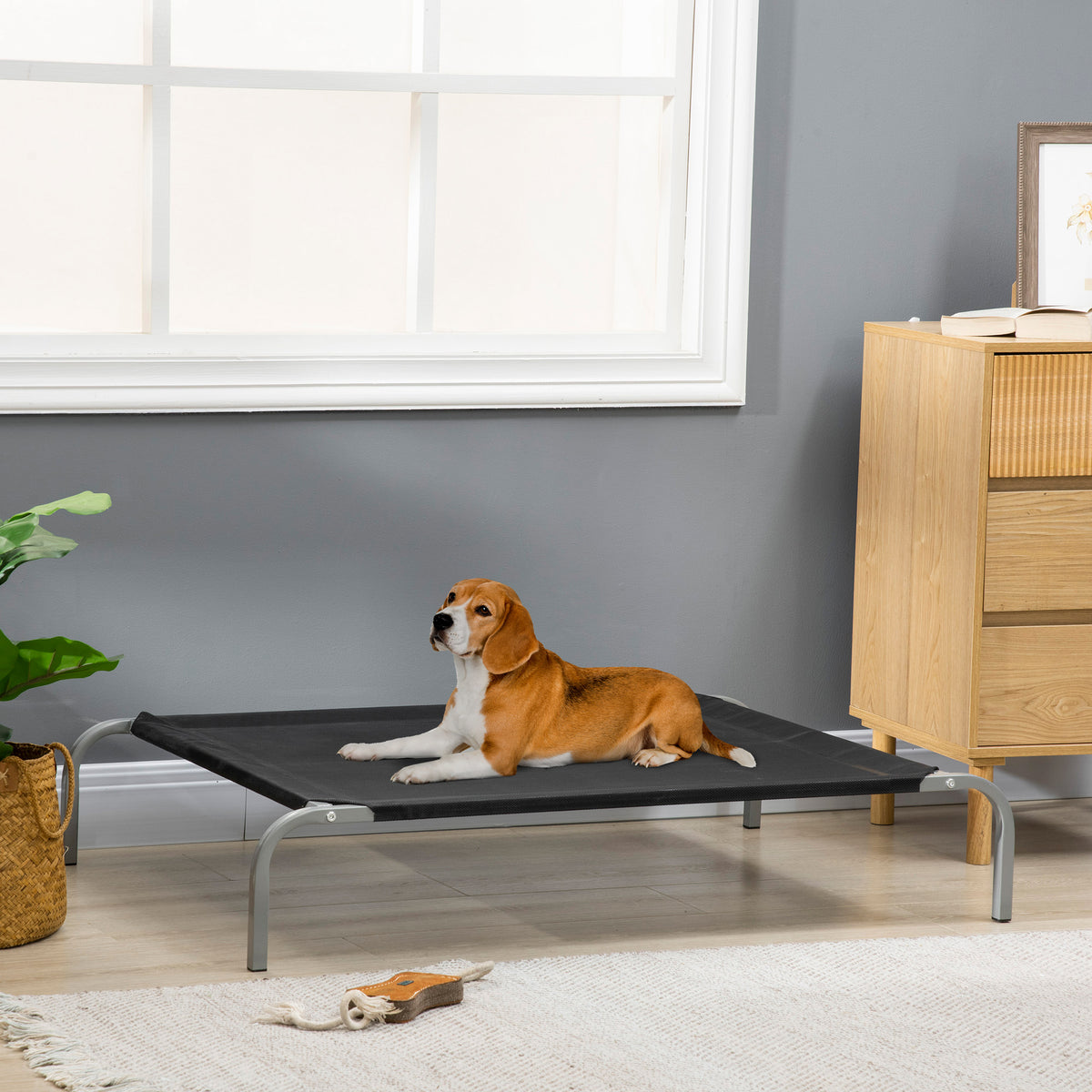 Lit pour chien chat XL grand confort sur pieds lit de camp 110 x 75 x 20 cm textilène micro-perforé noir-1