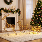 Lot de 2 Rennes de Noël avec Traîneau Lumineux 3 Pièces, 240 LED Blanc Chaud, 8 Modes et Minuterie, 78x22x105cm, Marron-9