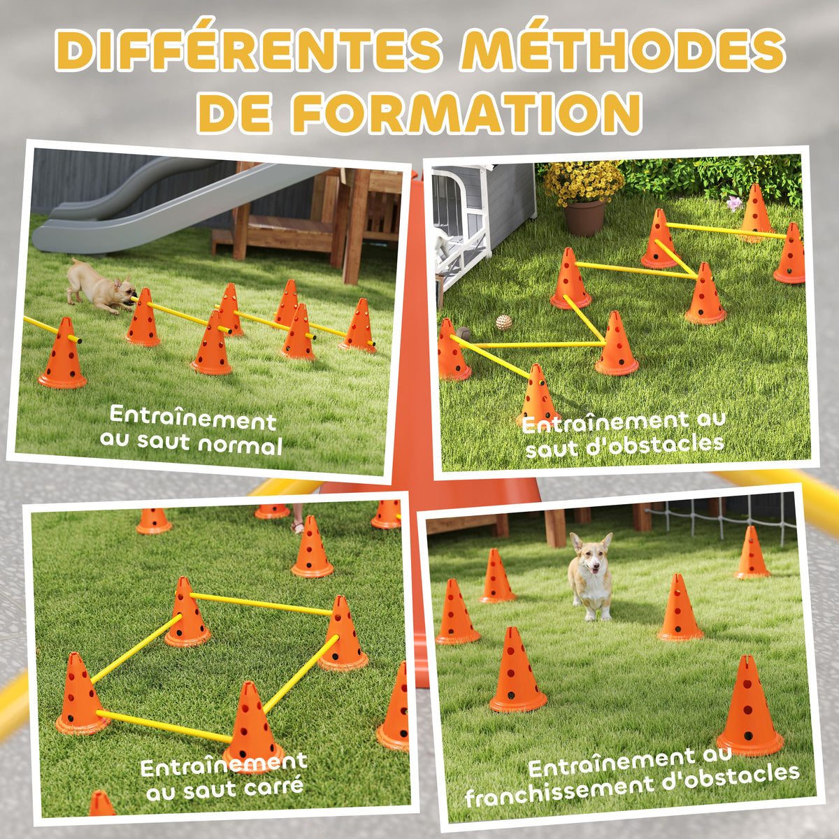 Ensemble d'Agilité pour Chien 6 Pièce, Parcours d'Obstacle hauteur réglable avec Sac de Transport, Orange-4