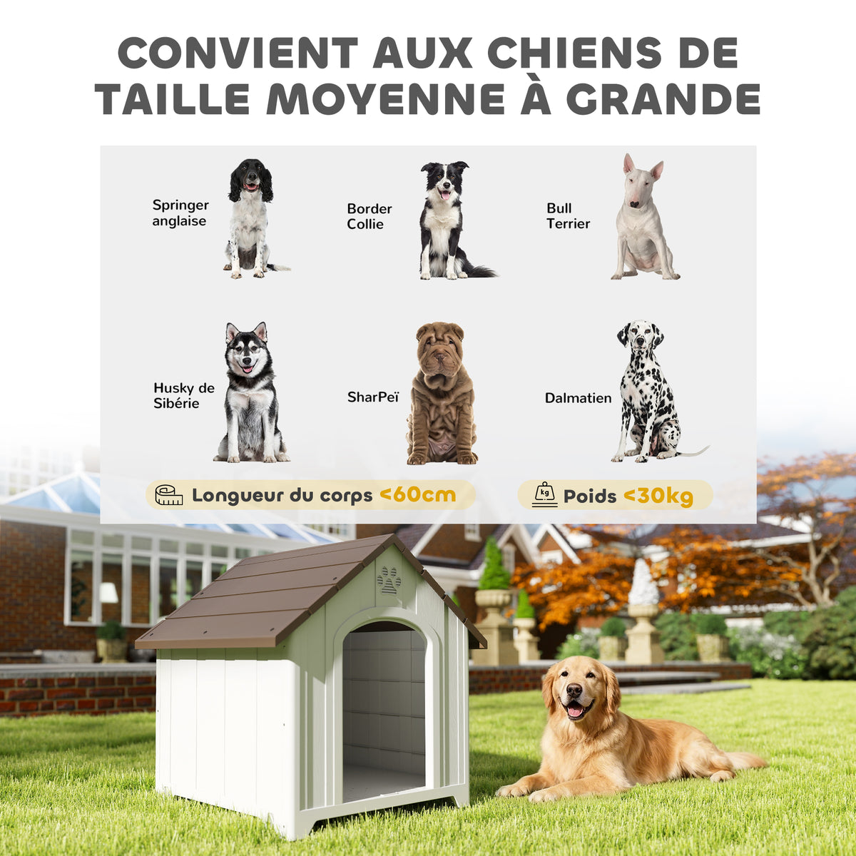 Niche pour chien extérieur, maison chien en polypropylène imperméable ventilé plancher surélevé 88x79x89cm gris clair-4