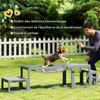 Équipements d'entraînement agilité pour chien kit d'équipement d'agilité pour chien 3 pièces en bois massif gris-5