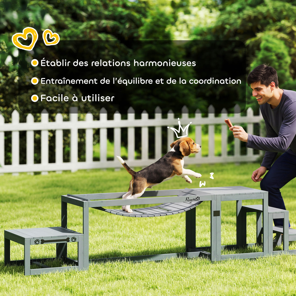 Équipements d'entraînement agilité pour chien kit d'équipement d'agilité pour chien 3 pièces en bois massif gris-5