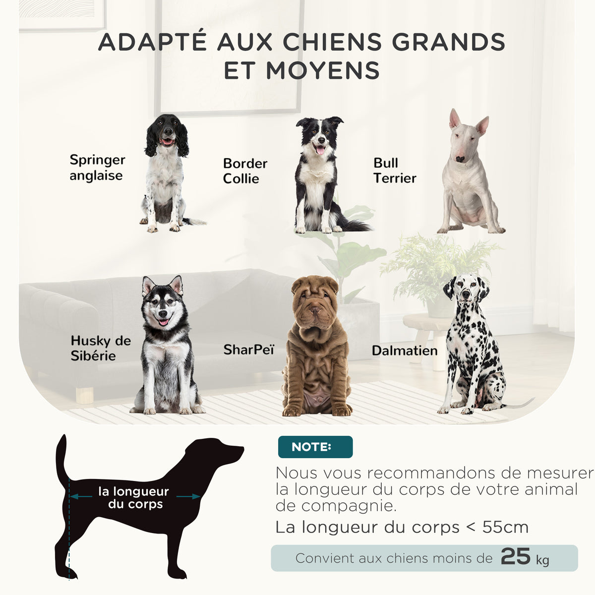Canapé pour chien chat design scandinave coussin moelleux amovible pieds bois massif 100 x 62 x 32 cm gris-3