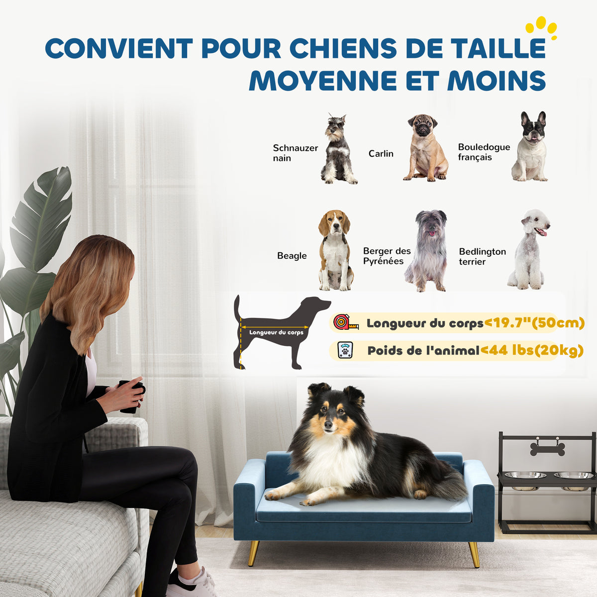 Canapé chien lit pour chien design scandinave coussin moelleux pieds métal doré 94 x 59,5 x 31,5 cm velours soyeux bleu-3