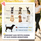Poussette pour Chien 4 Roues, Chariot Pliable avec Auvent Réglable, Panier de Rangement, 77x44x102cm, Gris-3