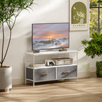 Meuble TV, meuble télé pour téléviseur jusqu'à 47 pouces avec 2 tiroirs et pieds en acier, 98 x 29 x 56 cm, gris clair-8