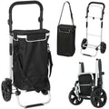 Chariot de courses pliable 40 L caddie de courses portable à roulettes avec poignée télescopique, 45,5x35,5x97cm, noir-0