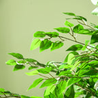 Plante artificielle ficus hauteur 1,80 m tronc branches liane lichen feuilles grand réalisme pot inclus vert-8