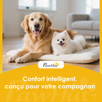 Lit Chien Sureleve avec Parasol, Lit de Camp Chien Chat sur Pieds Tissu Oxford Respirant, Anti-UV Cadre en Métal Sac de Transport Inclus Couchage Extérieur pour Chat 122 x 92 x 108 cm Gris Noir-8