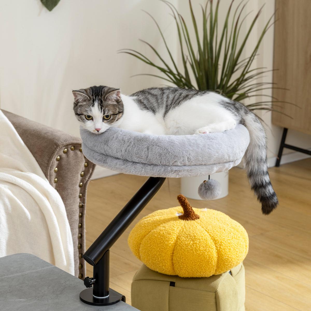 Lit de Bureau pour Chat Rotation de 360° et Hauteur Réglable, Lit pour Chat Lavable avec Balle Jouet, 35x35x48cm, Gris-1