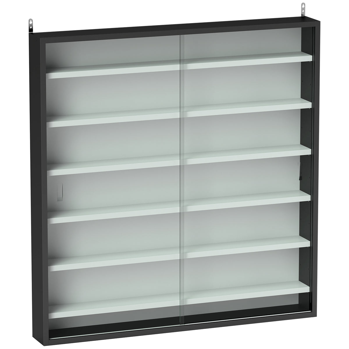 Vitrine pour collection vitrine murale 80 x 9,5 x 83 cm 6 étagères réglables en hauteur 2 portes coulissantes en verre-0