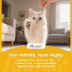 Maison de Toilette pour Chat avec Couvercle, Entrées, Plateau Coulissant, Pelle, Sachets Désodorisants, 48x35x36cm, Gris-8