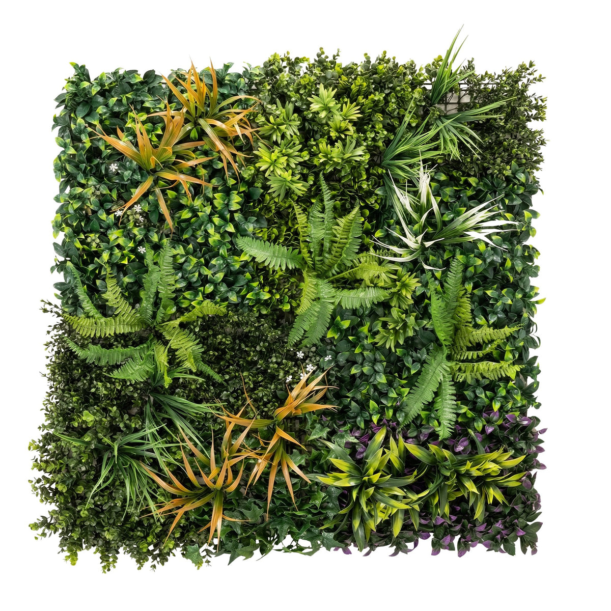 plantes de couverture, haies artificielles, clôtures feuillues, treillis, feuilles, écran végétal vivant-0