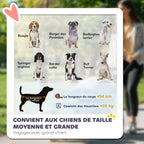 Poussette pour chien 3 roues avec pliage facile, sac de rangement, coussin souple, laisse de sécurité, gris-3