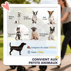 Poussette pour Chien Pousse-Chien 3 en 1 Détachable Pliable Nacelle Amovible et Sans Fermeture Éclair Suspension Gris-8