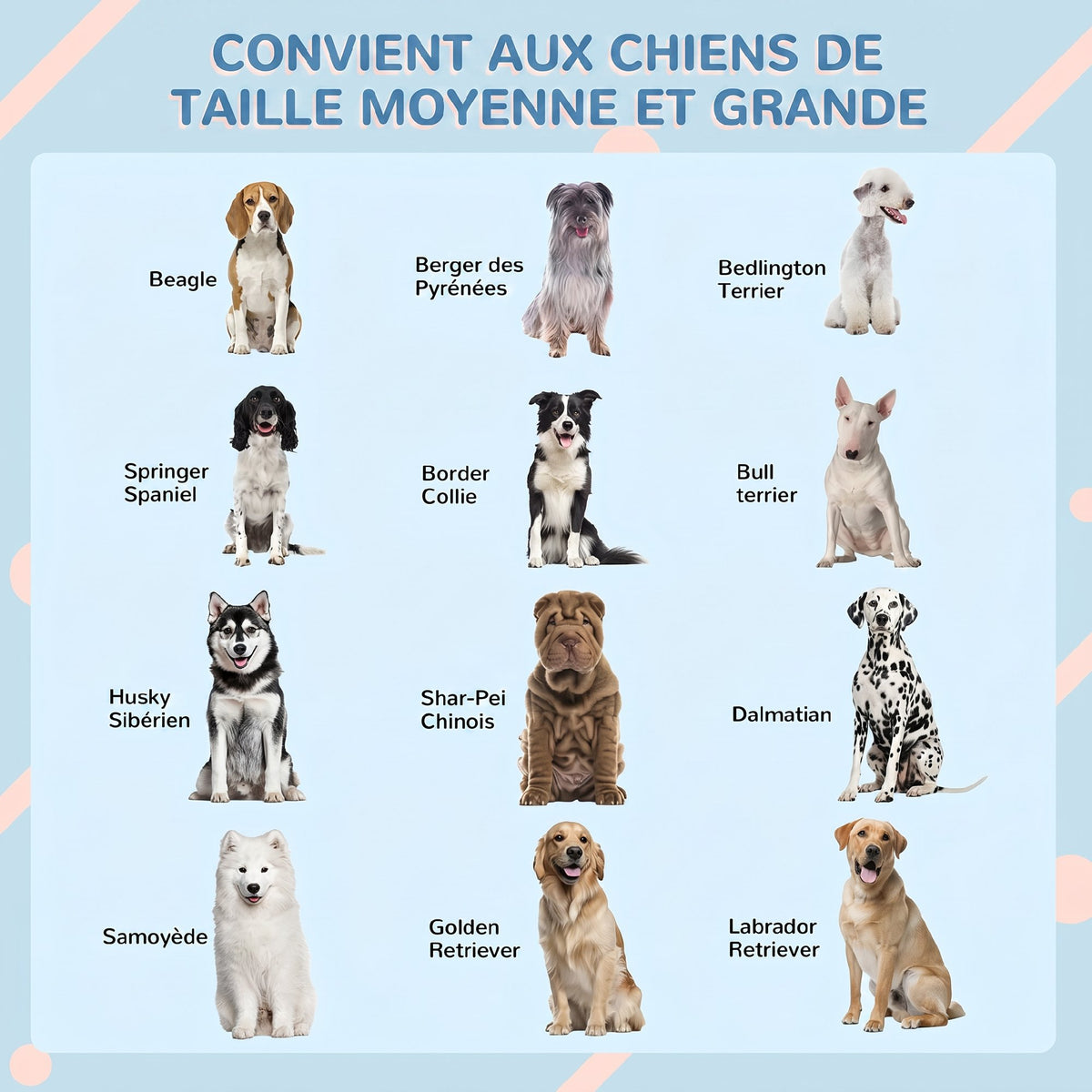 Niche pour Chien Extérieur avec Toit en Pente et Porte Avant Ouverte, pour Chiens Moyens et Grands, 84,2x98,2x82cm, Gris-6
