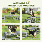 Équipements d'entraînement agilité pour chien kit d'équipement d'agilité pour chien 3 pièces en bois massif gris-4