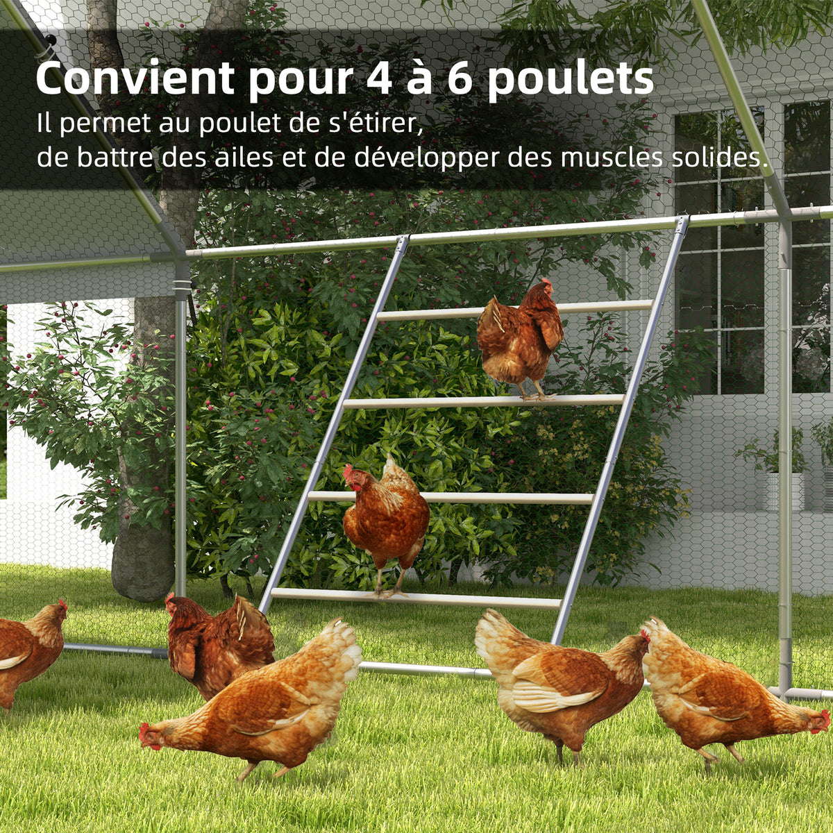 Grand perchoir échelle pour poules 4 niveaux avec barreaux en bois et structure métal 140 x 86 x 2,5 cm argent naturel-5