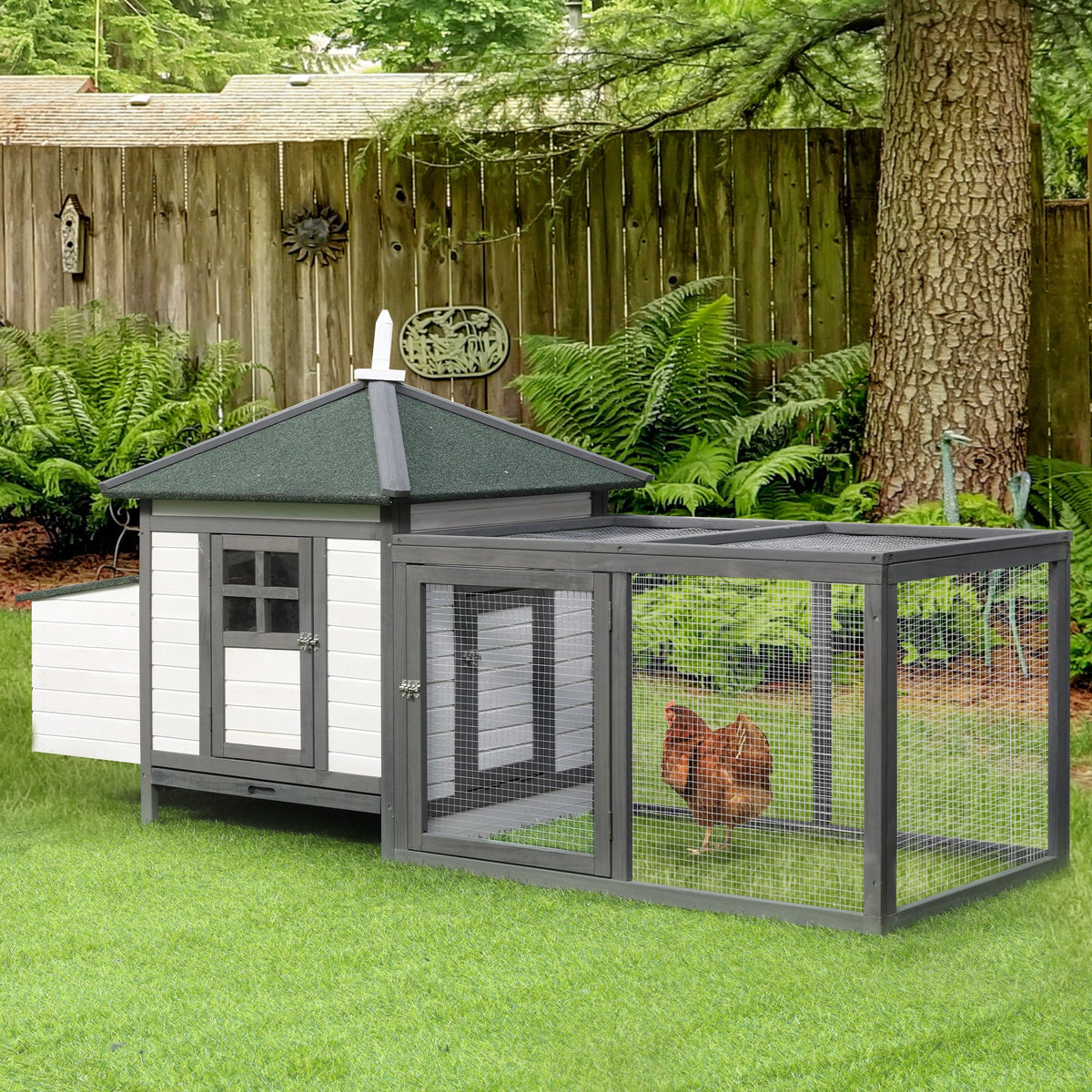 Poulailler cottage multi-équipement perchoir rampe pondoir enclos tiroir à déjection 196L x 76l x 97H cm bois massif pin gris blanc-9