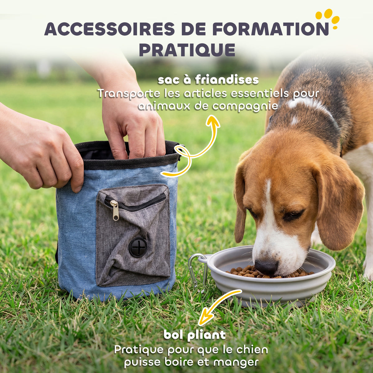 Ensemble d'Agilité pour Chien 11 Pièces, Parcours d'Obstacle avec 2 Tunnels, Sauts Ajustables, Orange et Bleu-4