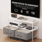 Meuble TV, meuble télé pour téléviseur jusqu'à 47 pouces avec 2 tiroirs et pieds en acier, 98 x 29 x 56 cm, gris clair-4
