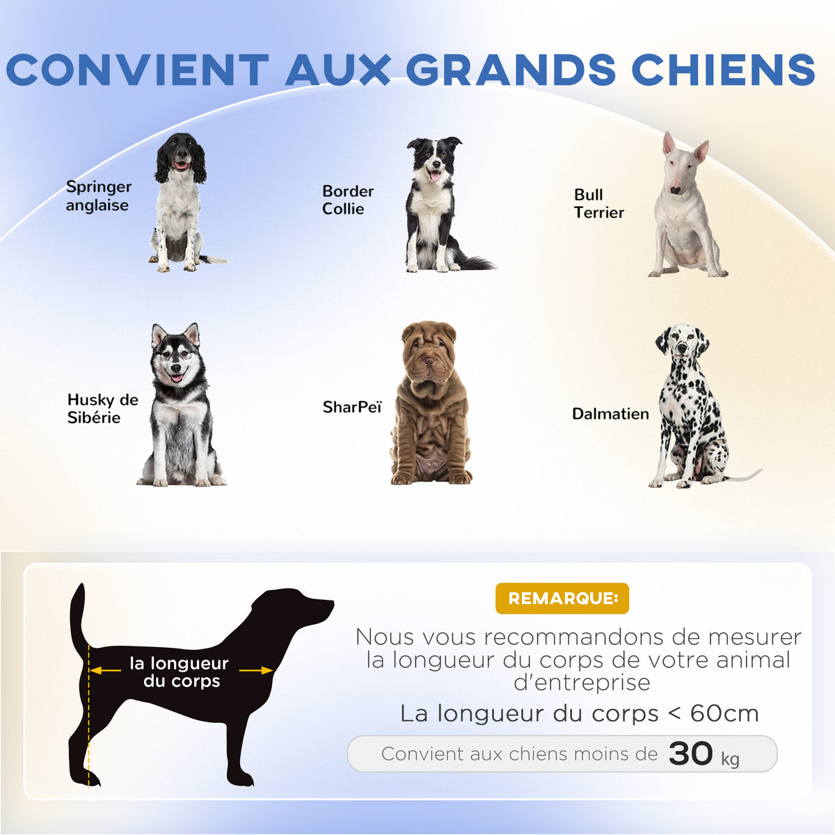 Canapé pour chien grand lit surélevé pour chien coussin lavable cadre en bois tissu polyester 98 x 67 x 25 cm bleu-3
