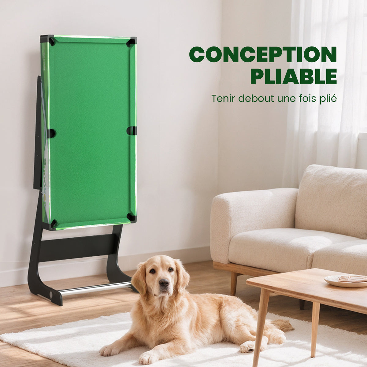 Table de billard pliable avec accessoires 2 queues, 16 billes, traingle, craie, dim. 104L x 55,5l x 68H cm, tapis vert-3