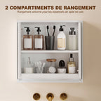 Armoire Murale Miroir Salle de Bain 2 étagères dim. 48L x 14l x 45H cm Panneaux Particules MDF Blanc-3