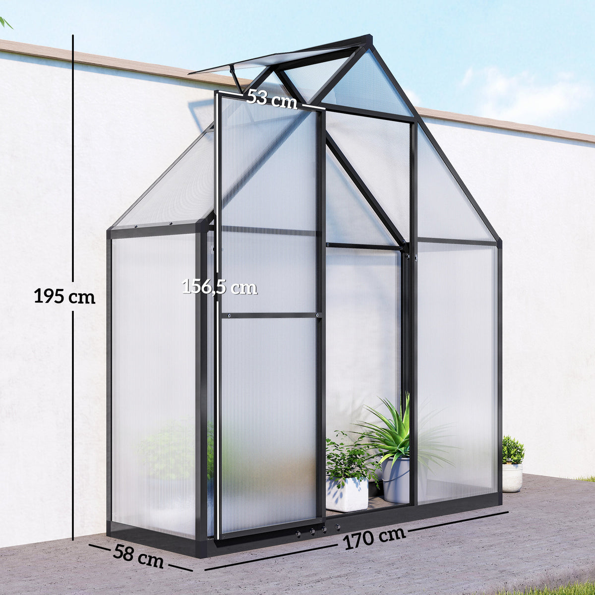Serre de Jardin en Aluminium Polycarbonate, Montage Rapide, Fenêtre Réglable, Porte Battante, 170x58x195cm, Transparent-2
