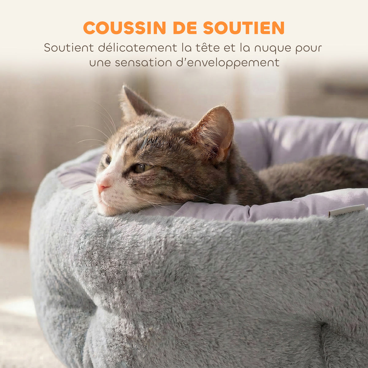 Lit pour chat réversible, lit pour chats d'intérieur et petits chiens, lit rond avec rebord de soutien, gris clair-4