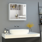 Armoire Murale Miroir Salle de Bain 2 étagères dim. 48L x 14l x 45H cm Panneaux Particules MDF Blanc-1