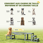 Équipements d'entraînement agilité pour chien kit d'équipement d'agilité pour chien 3 pièces en bois massif gris-6