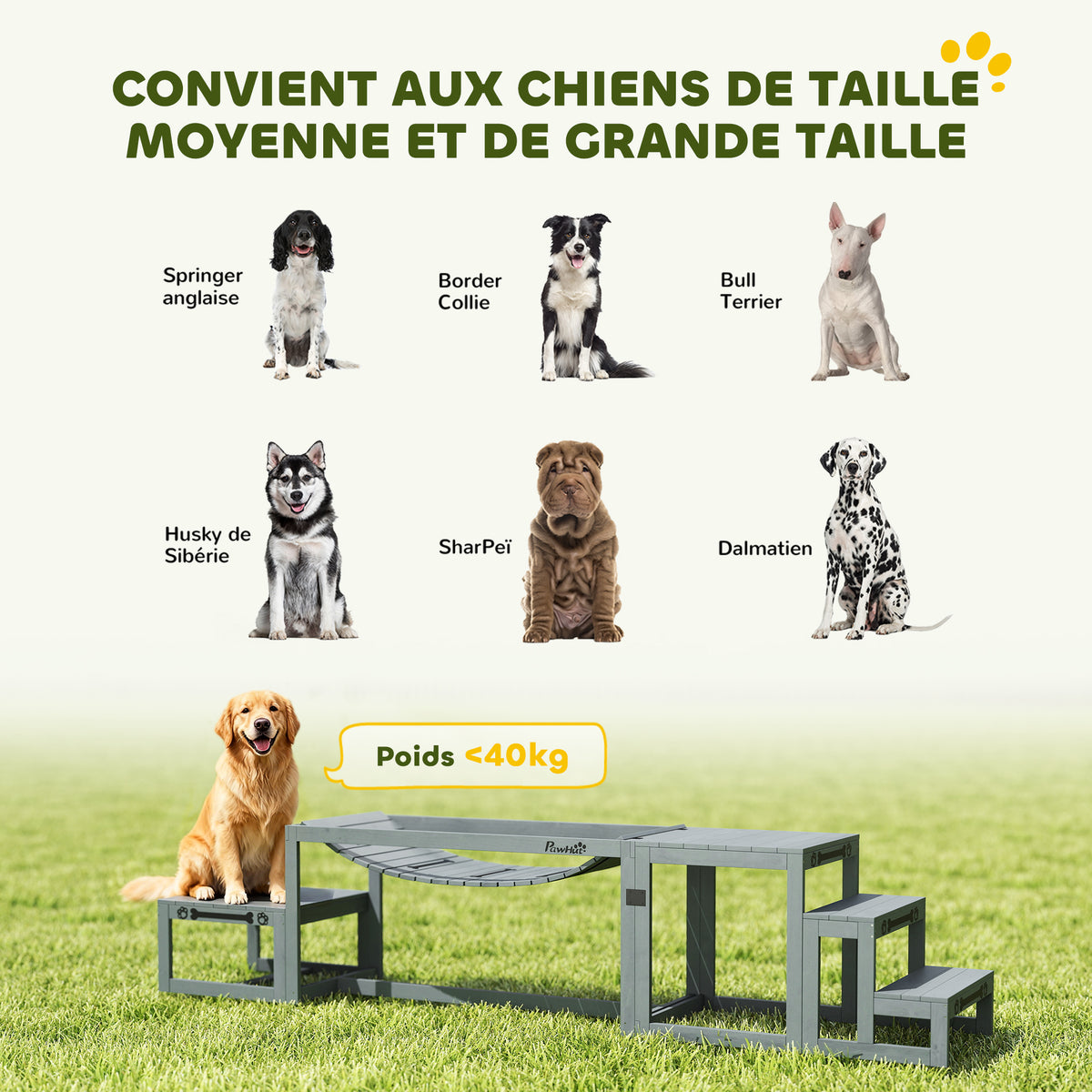Équipements d'entraînement agilité pour chien kit d'équipement d'agilité pour chien 3 pièces en bois massif gris-6
