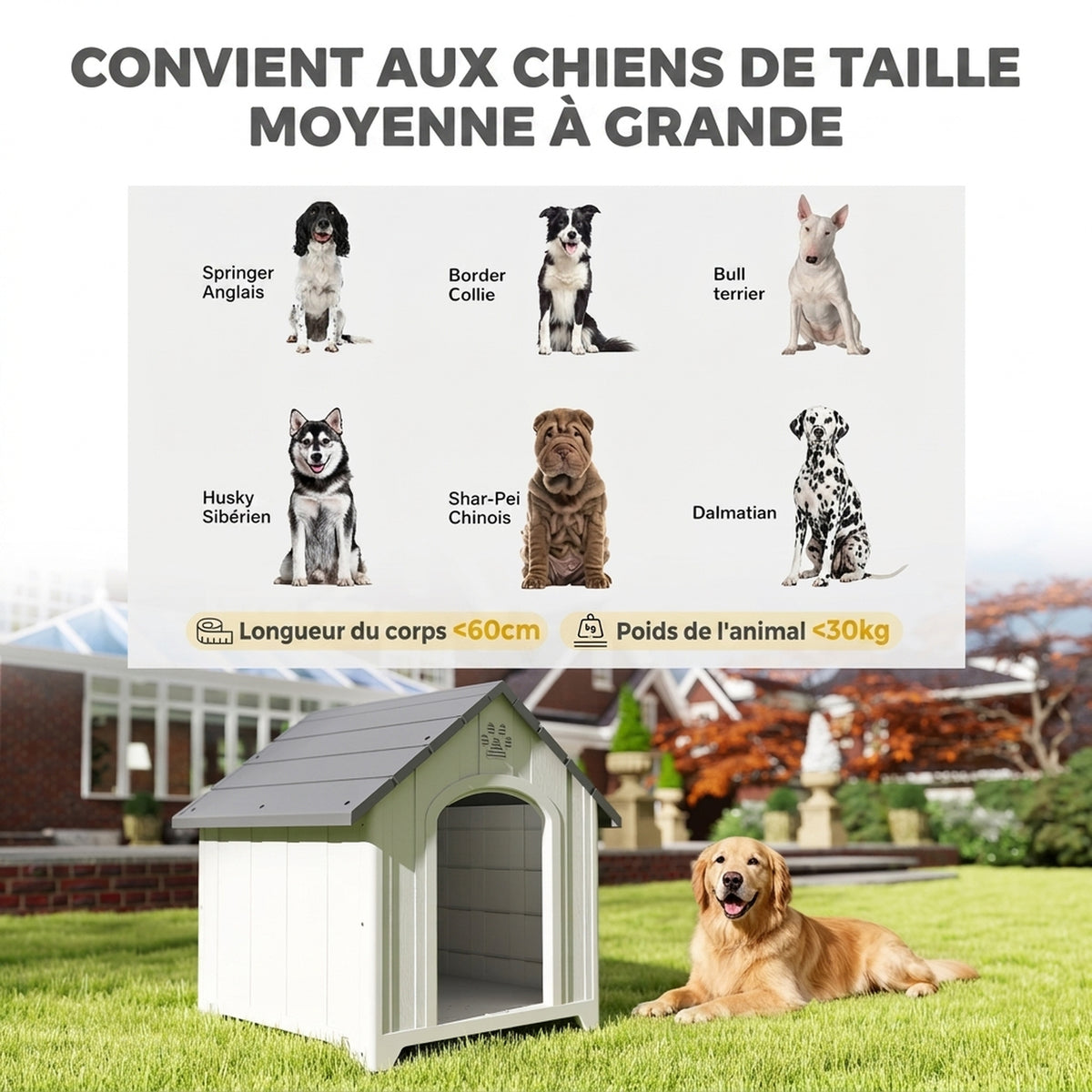 Niche pour chien extérieur, maison chien en polypropylène imperméable, ventilé, plancher surélevé, gris clair-4