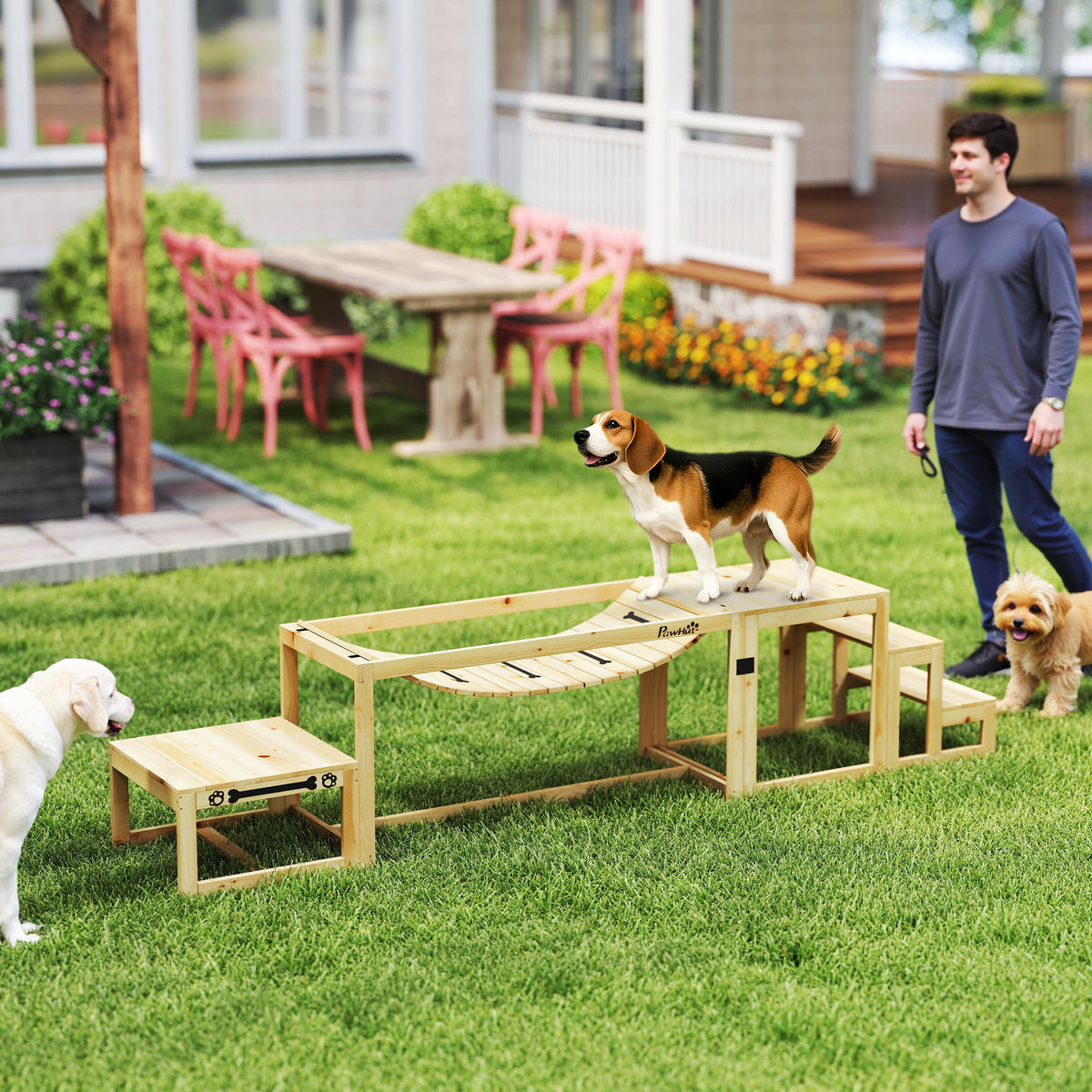 Équipements d'entraînement agilité pour chien kit d'équipement d'agilité pour chien 3 pièces en bois massif bois naturel-1