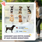 Poussette pour chien chariot pliable 3 roues tout-terrain EVA 12" auvent ajustable 2 laisses 109,5x57,5x106,5cm rouge-3