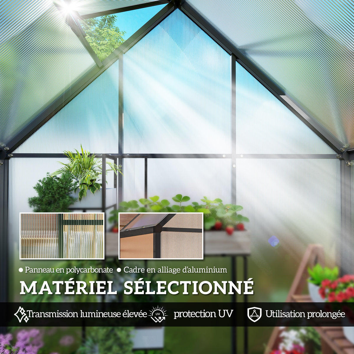 Serre de Jardin en Aluminium Polycarbonate, Montage Rapide, Fenêtre Réglable, Porte Battante, 170x58x195cm, Transparent-4