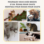 Tonneau à Gratter pour Chat Arbre à Chat Sisal Naturel et Herbiers Marins Recouvert de Peluche 45 x 45 x 79cm Kaki Café-6