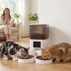 Distributeur Croquettes Chat Automatique 2 Animaux 6L Double Bol Inox WiFi Tuya App ABS 37x36x35cm Blanc-9