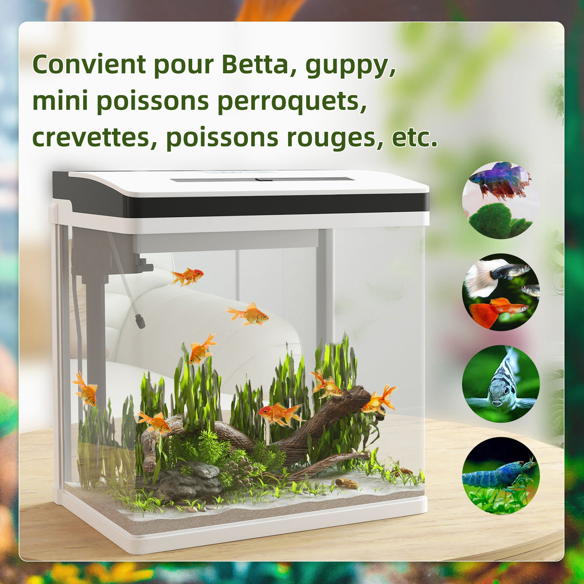 Aquarium en verre avec filtre couvercle et lumière LED pour poissons capacité 28L 38 x 26 x 39,5 cm blanc-3