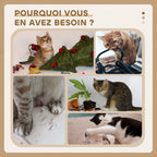 Arbre à chat tour de jeux pour chat, platesformes, niche, lit, hamac, échelle et griffoirs en jute 60x40x130cm jaune-5