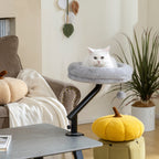 Lit de Bureau pour Chat Rotation de 360° et Hauteur Réglable, Lit pour Chat Lavable avec Balle Jouet, 35x35x48cm, Gris-7