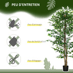 Plante artificielle ficus hauteur 1,80 m tronc branches liane lichen feuilles grand réalisme pot inclus vert-4