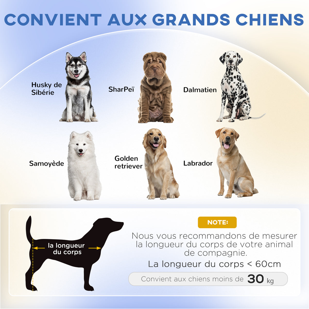 Canapé pour chien grand lit surélevé pour chien coussin lavable cadre en bois tissu polyester 98 x 67 x 25 cm gris-3